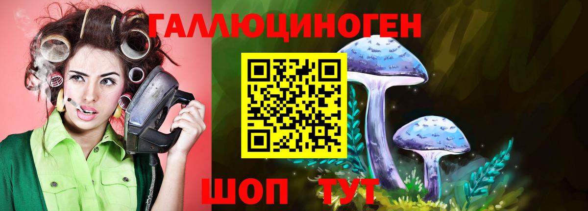 Советская Гавань  Галлюциногенные грибы Psilocybine cubensis  Вход с VPN 